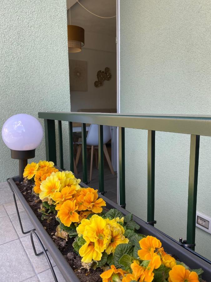Valtellina Vacanze Sondrio Bagian luar foto